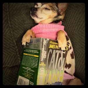 Meet your Posher, Brianna